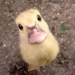 Kay Meier - @kaymeier_ - Instagram