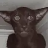 Kay555mm - @kaymetz777 - TikTok