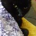 Kay Milner - Facebook