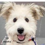 Kay Mobley - @kay.mobley.1 - Instagram
