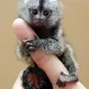 Kay Mobley - @kay.mobley - TikTok
