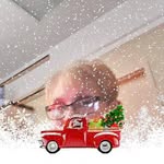 Kay Monteith - @kay.monteith.547 - Instagram