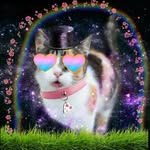 Kay Moorman - @kaymoorman4 - Instagram
