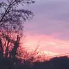 Kathy Morehead - @kathy.morehead - TikTok