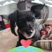Kay Phillips Morehead - Facebook