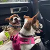 user7653115575434 - @cindykaymorehead - TikTok
