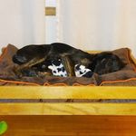 Kay Mueller - @mueller_kay - Instagram