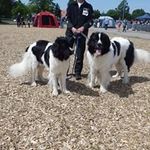 Kay Müller - @kaymueller15 - Instagram