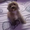 Kaylin Munro - @kaylin.munro - TikTok