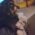 Kay Naff - @naffkay - Instagram