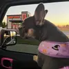 summerkaynapier - @summerkaynapier - TikTok