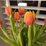 Kay newman - @kaynewman50 - Instagram