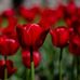 Kay Oldham - Facebook