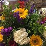 Kay Oldham - @oldhamkay - Instagram