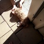 kayla.oldham - @kayla.oldham8218 - Instagram