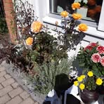 Kay Olsson - Facebook