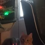 Kay Oquinn - @kayoquinn2346 - Instagram