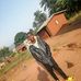 Kay Otis - Facebook