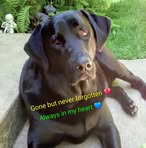 Kay Palmer - Facebook