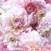 Kay Parnell Jones - @2184935858 - TikTok