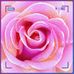 Kay Patrick - Facebook