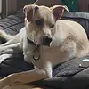 Katecpeder - @kaypederson1 - TikTok