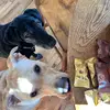Kay Pederson - @kay.pederson0 - TikTok