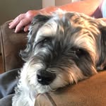Kay Sorsveen Pederson - @kaysorsveen - Instagram