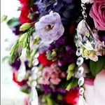 Mary Kay Pederson Judt - @marykayjudt - Instagram
