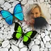Kay Peiser - @user1057119040363 - TikTok