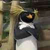 Kai Pelletier - @kaipelletier347 - TikTok
