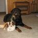 Kay Peltier - Facebook