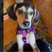 Kay Pendleton Breedlove - Facebook
