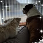 Kaye Peterkin - @kayepeterkin7 - Instagram