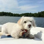 Kay Petroff - @kayp1 - Instagram