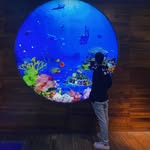 Kay Phan - @kayphan.4869 - Instagram