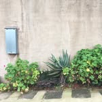 Kay Phan - @wall_grams - Instagram
