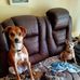 Kay Phelps - Facebook