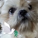 Kay Pickett - @kaypickett8 - Instagram