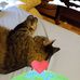 Kay Ware-Pieper - Facebook