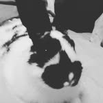 kay - @kay_pineapple212 - Instagram