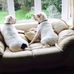 Kay Plummer - Facebook