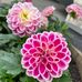 Kay Polster - Facebook