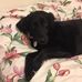 Kay Polzin - Facebook