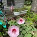 Kay Powers - Facebook