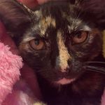 Cinda Kay Prater - @cinda.cat - Instagram