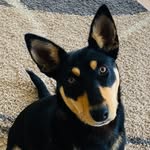Kai Prater - @prater_boy12345 - Instagram