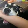 Katy.prater - @katy.prater - TikTok