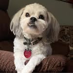 Kay Prell - @kayprell - Instagram