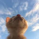Kayra Dereçiçeği - @kayra_derecicegi - Instagram